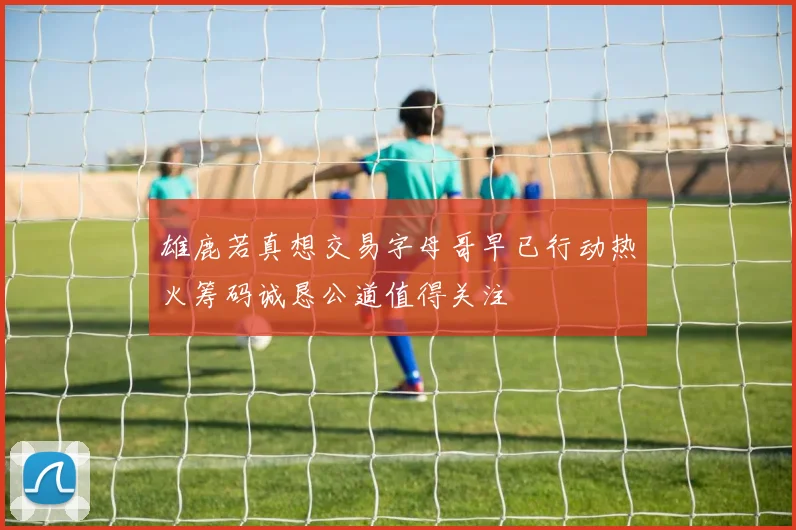 雄鹿若真想交易字母哥早已行动热火筹码诚恳公道值得关注
