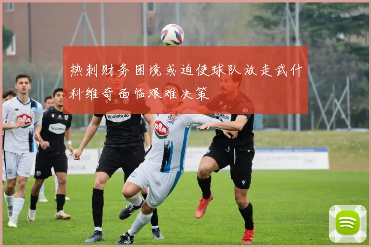 热刺财务困境或迫使球队放走武什科维奇面临艰难决策
